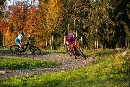 Pumptrack Swiss Bike Park  Niederscherli