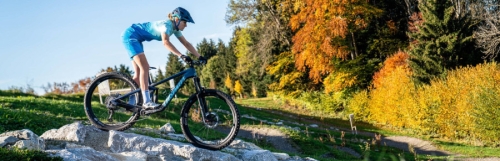 Pumptrack Swiss Bike Park  Niederscherli