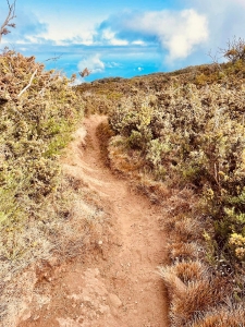 Enduro Mégavalanche Maïdo
