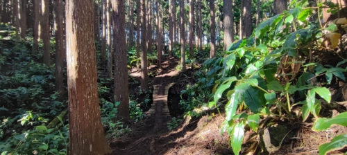 Enduro Mégavalanche Maïdo