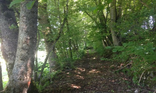 Rando XC Les Habères