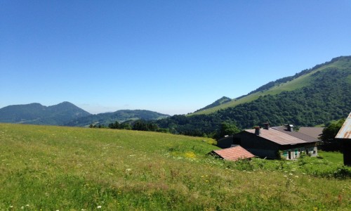 Rando XC Les Habères