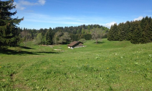 Rando XC Les Habères