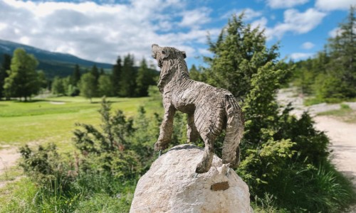 XC Rando - VTTAE Corrençon en Vercors