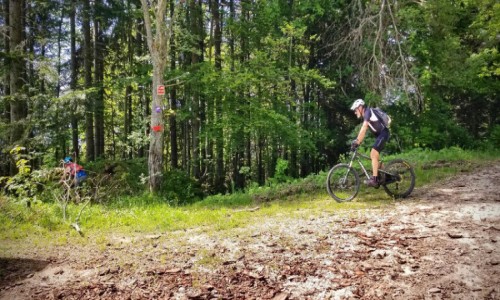 XC Rando - VTTAE Plateau des Petites Roches