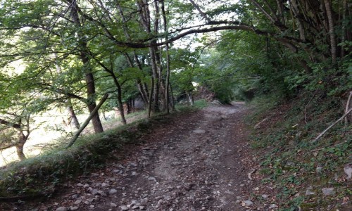 XC Rando - VTTAE Etrail Center Bel'Vélec Froges