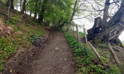 XC Rando - VTTAE Etrail Center Bel'Vélec Froges