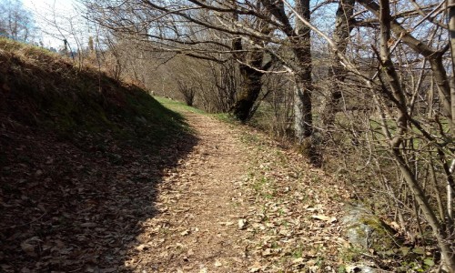 XC Rando - VTTAE Etrail Center Bel'Vélec Les Adrets