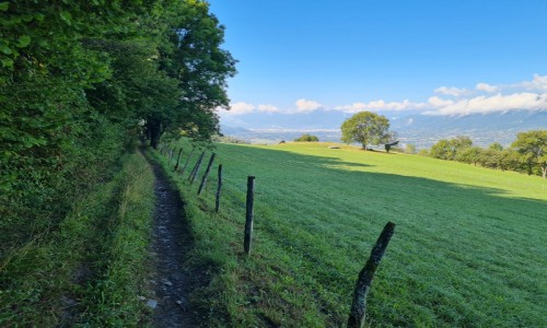 XC Rando - VTTAE Etrail Center Bel'Vélec Les Adrets