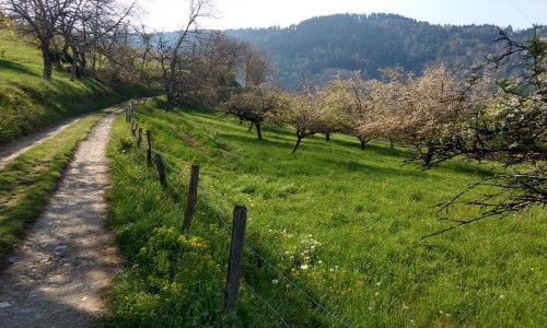 XC Rando - VTTAE Etrail Center Bel'Vélec Laval en Belledonne