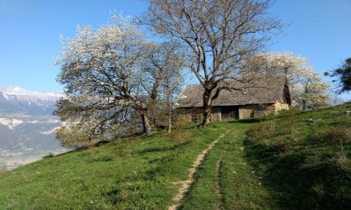 XC Rando - VTTAE Etrail Center Bel'Vélec Laval en Belledonne