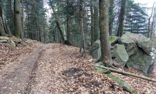 XC Rando - VTTAE Etrail Center Bel'Vélec Laval en Belledonne
