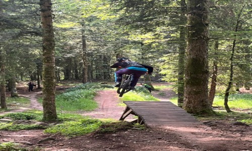 Bikepark La Bresse 