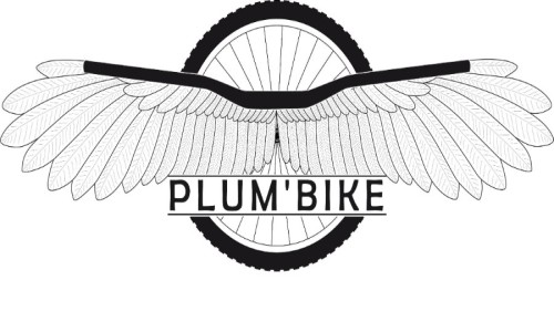 Espace ludique Plumelec Plum'Bike