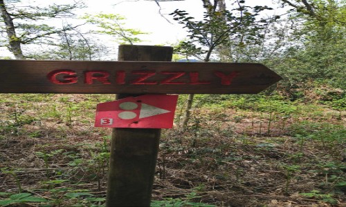 Bikepark Dun-les-Places