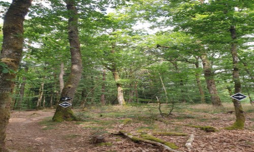 Bikepark Dun-les-Places