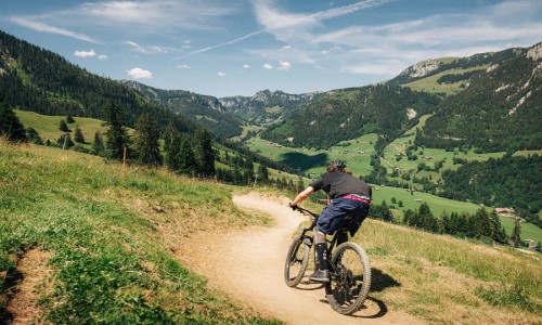 Bikepark Wiriehorn Diemtigen