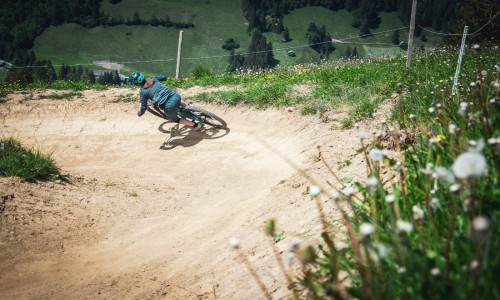 Bikepark Wiriehorn Diemtigen
