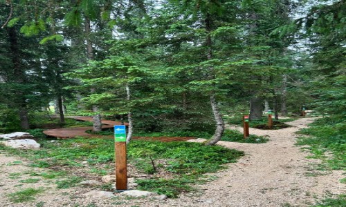 Espace ludique Chapelle des Bois