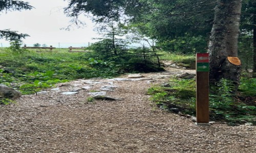 Espace ludique Chapelle des Bois