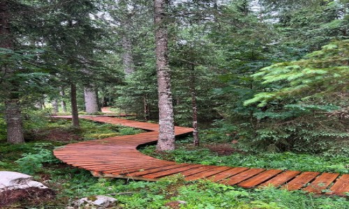 Espace ludique Chapelle des Bois