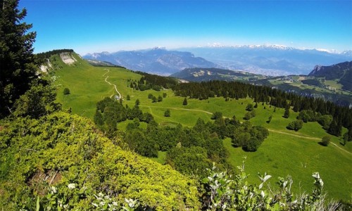 Enduro Autrans Secteur La Molière