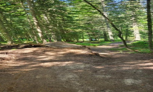 Enduro Autrans Secteur La Molière