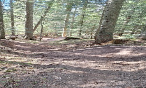 Enduro Autrans Secteur La Molière