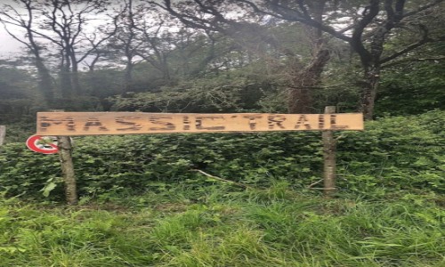 Espace ludique Conquereuil Massic Trail