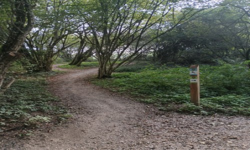 Stade XCO Autun départ pistes bleues et rouges