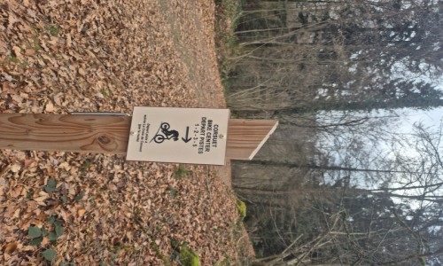 Enduro Corsuet Bike Center