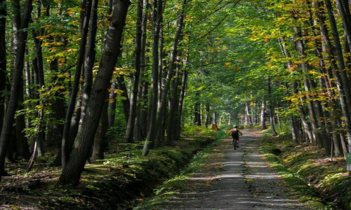 XC Rando - VTTAE Faverges-Seythenex