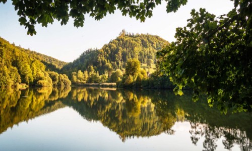 XC Rando - VTTAE Ferrette