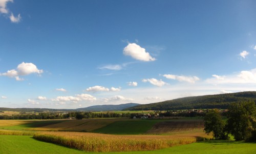 XC Rando - VTTAE Ferrette