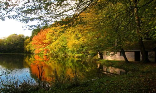 XC Rando - VTTAE Ballersdorf