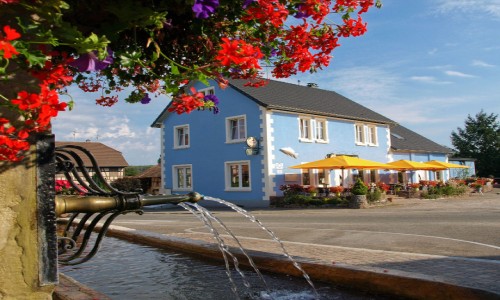 XC Rando - VTTAE Friesen