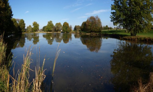 XC Rando - VTTAE Friesen