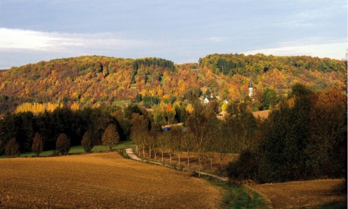 XC Rando - VTTAE Hirsingue