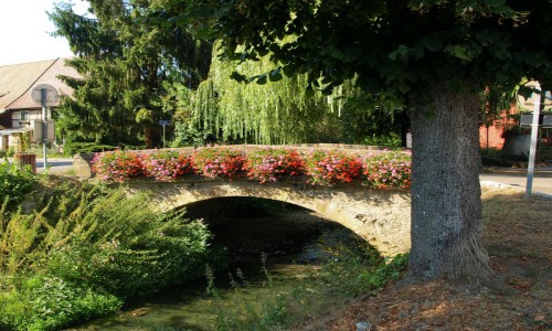 XC Rando - VTTAE Hirsingue