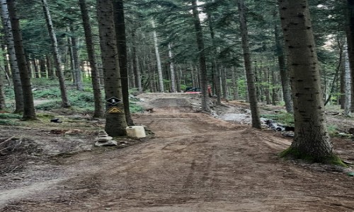 Bikepark Meyrieu trail