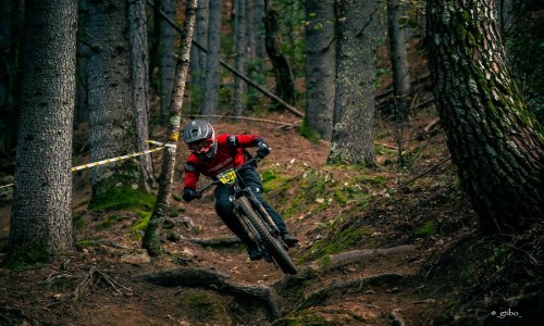 Enduro Bikepark le Bois Vert