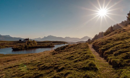 XC Rando - VTTAE Joux Plane