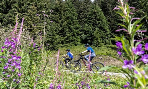 XC Rando - VTTAE 