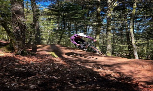 © Bikesolutions