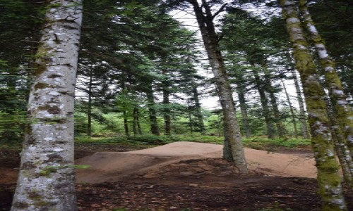 XCO Montoncel Lavoine