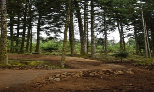 XCO Montoncel Lavoine