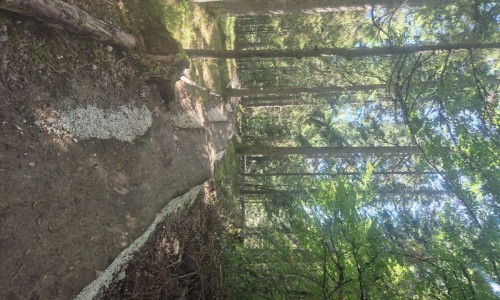 Espace ludique Skil Zone Croix Perrin
