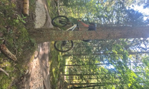 Espace ludique Skil Zone Croix Perrin