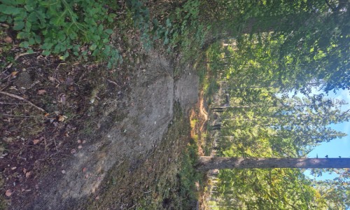 Espace ludique Skil Zone Croix Perrin