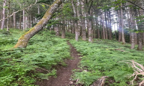 Enduro Trail center des Millevaches